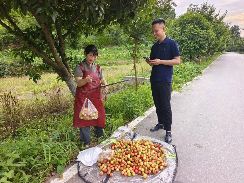 李子挂满枝头 农家菜香飘满山！谷城老君山村巾帼巧手盘活方寸小院 