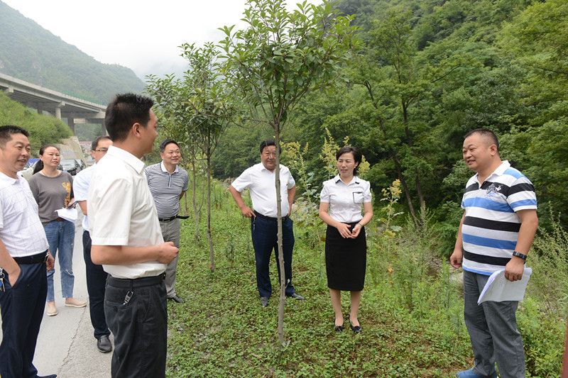 胡志芳督办大河陈家河水环境治理工作