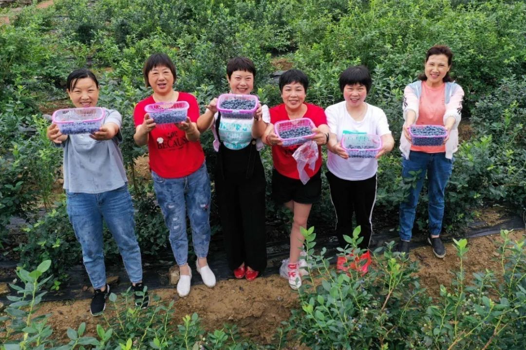 保康县两峪乡书记图片