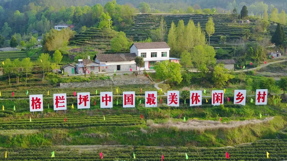 杜堂村,武汉市江夏区五里界街道童周岭村,老河口市仙人渡镇李家染坊村