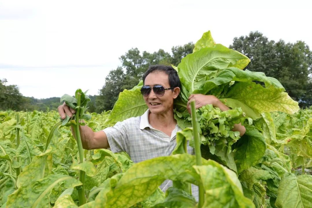 郭大荣脱贫攻坚好榜样