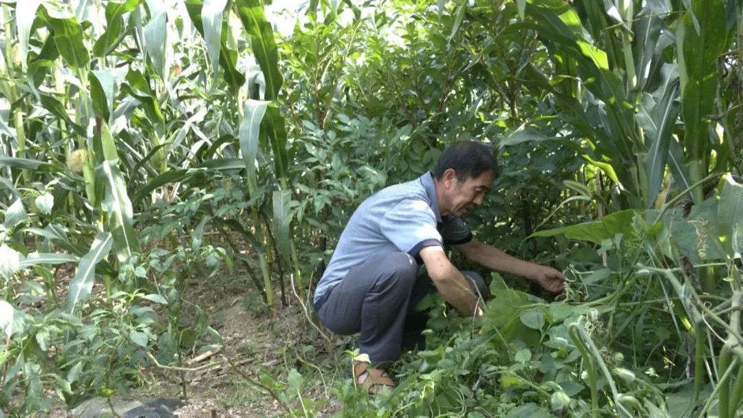 保康县两峪乡书记图片