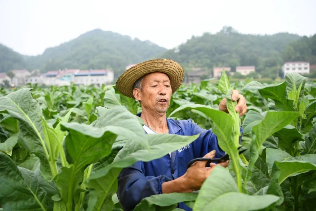 保康县两峪乡书记图片