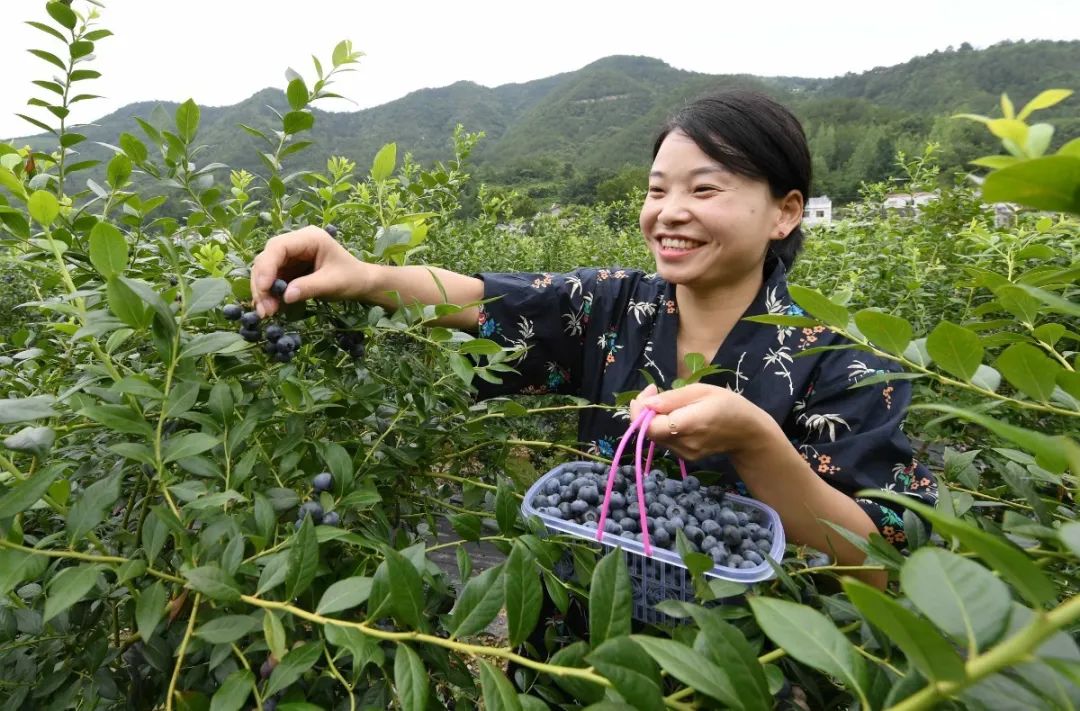 保康县两峪乡书记图片