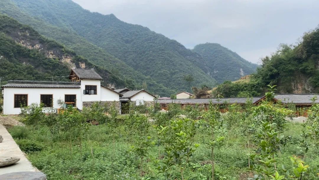 【记者带你游乡村】寺坪镇这个村,人气越来越旺,村庄越来越美