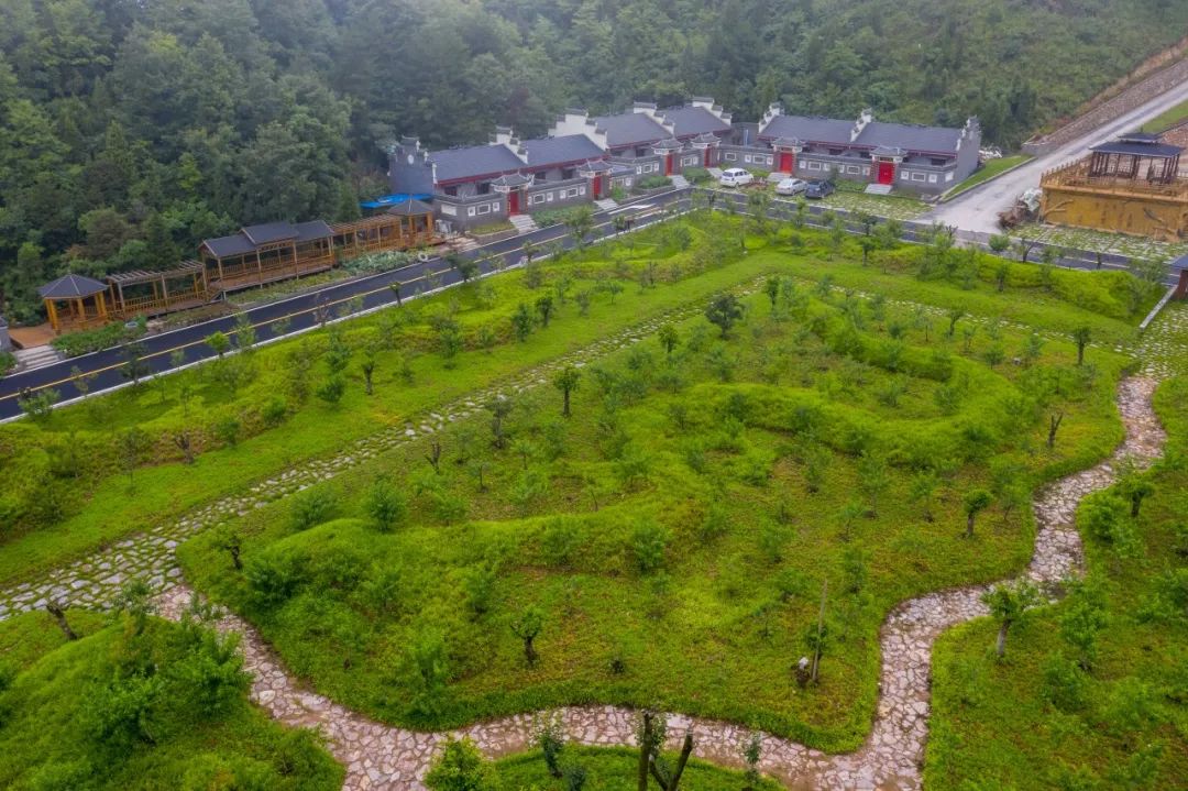 【乡村振兴看试点】马桥镇黄龙观村:矿山变乐园 矿区变花海_云上保康