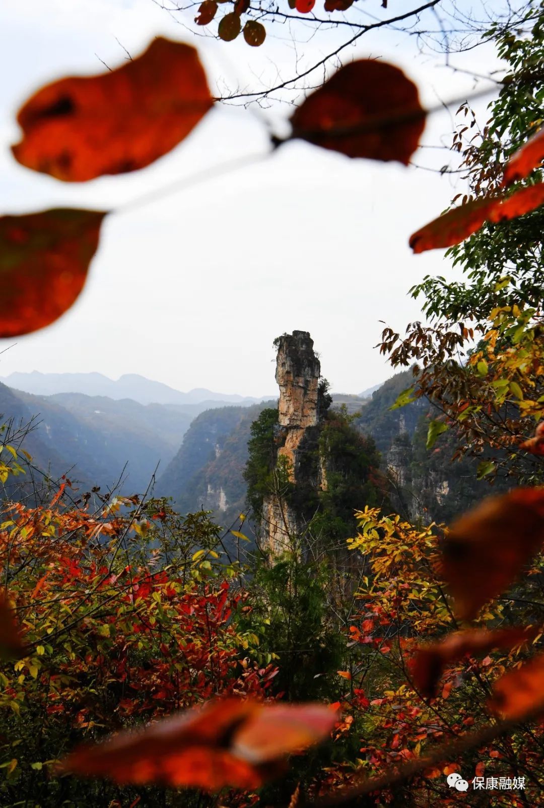 金秋红九路美景寨保康九路寨第四届红叶节盛大开幕