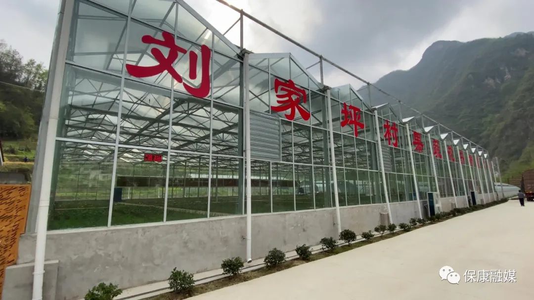 眼下,城关镇刘家坪村的花卉智能大棚内,一排排精心培育的多肉等花卉