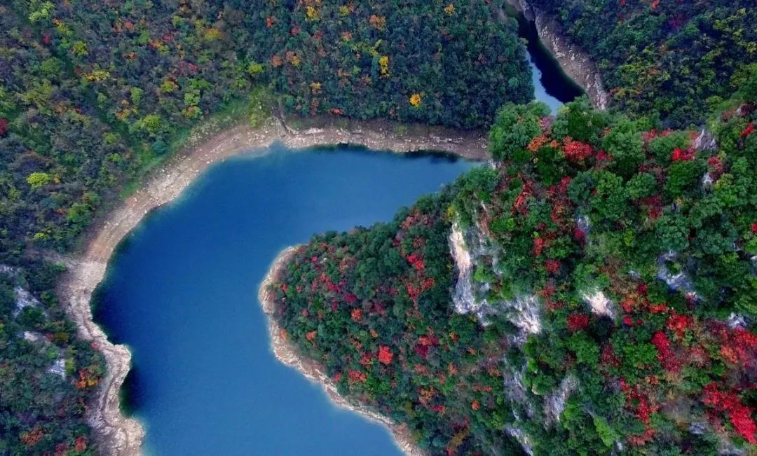 拍拍尧治河奖金等着你