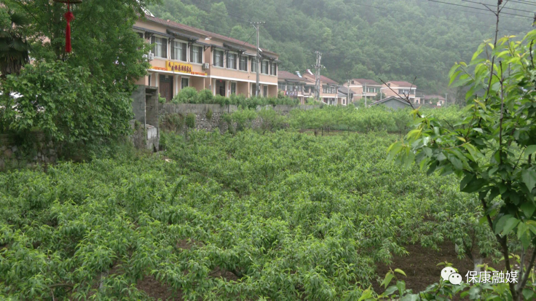 保康寨湾村一日游图片