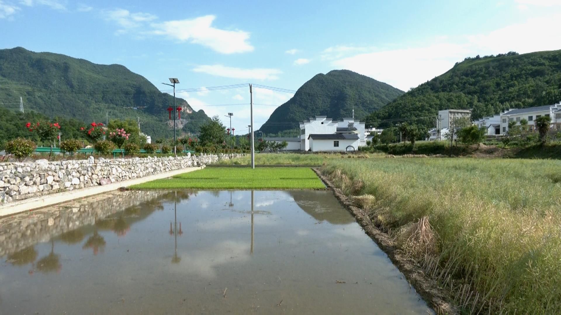 喜迎党代会保康谱新篇61乡村行两峪村村美民富产业旺