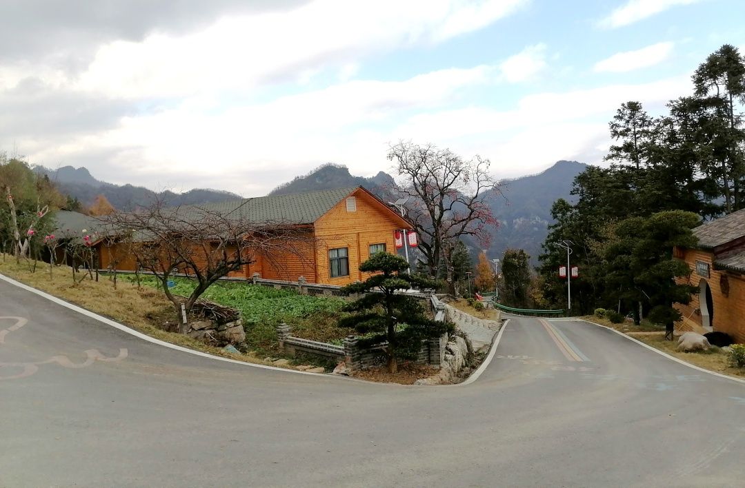 后坪镇这个村,一花一木皆成风景……_云上保康