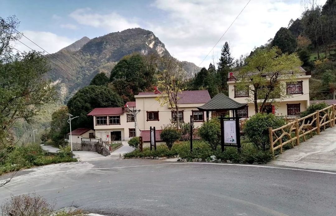 后坪镇这个村,一花一木皆成风景……_云上保康