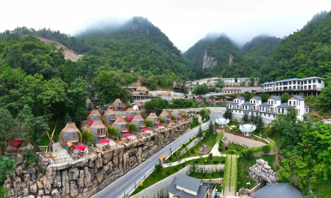 林距离森呼吸来尧治河邂逅诗意栖居