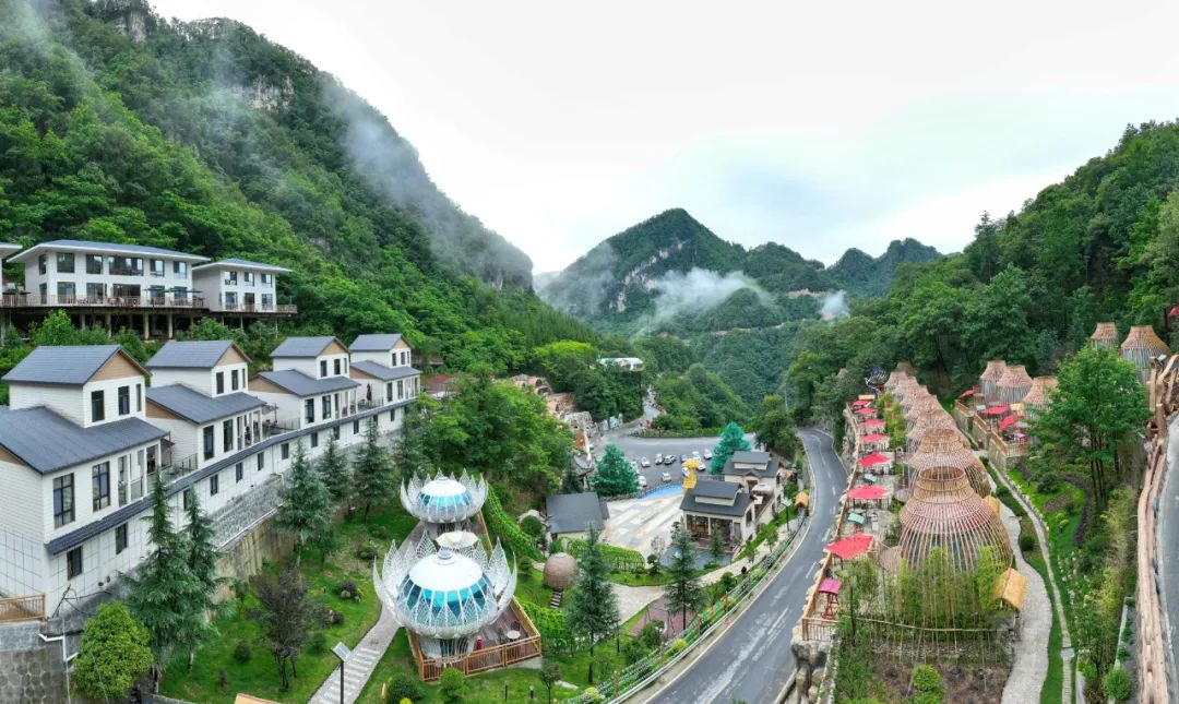 林距离森呼吸来尧治河邂逅诗意栖居