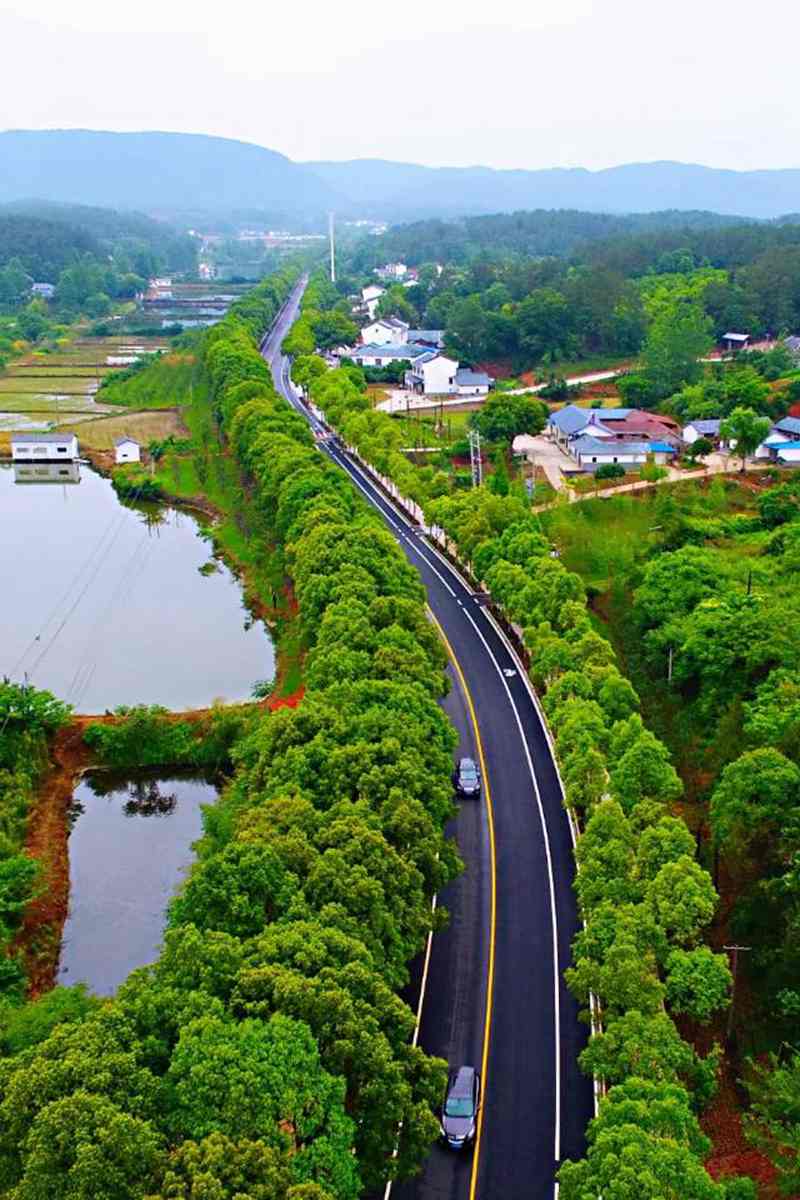 湖北省当阳市农村"三员"的夙愿,赢得了48.