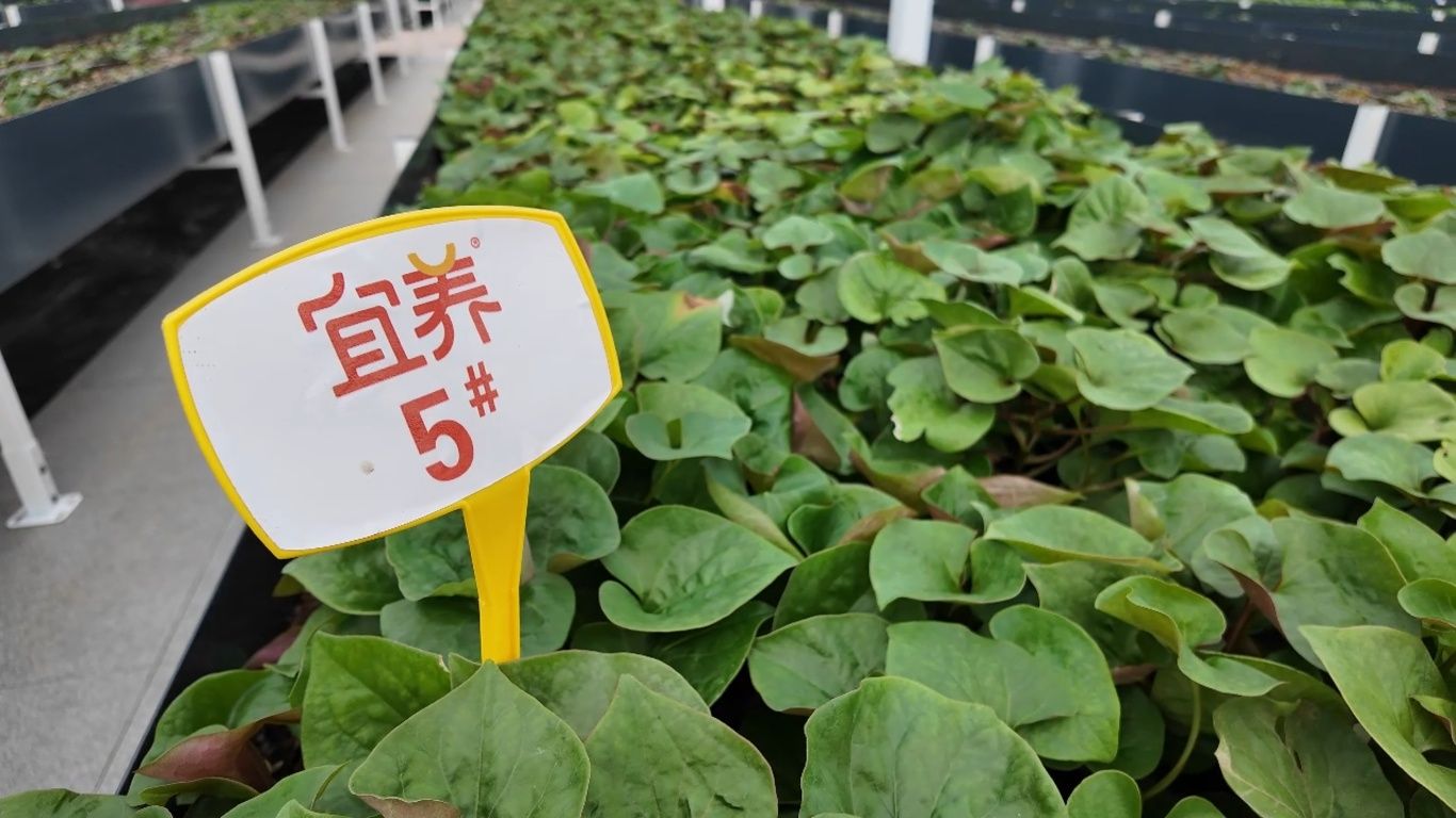 4月14日(6).jpg