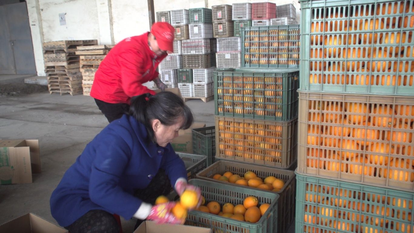 1月23日 (4)(2).jpg