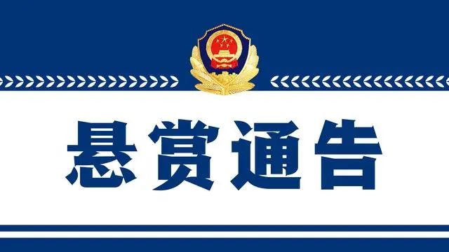 悬赏英山公安公开征集涉黑涉恶违法犯罪线索的通告