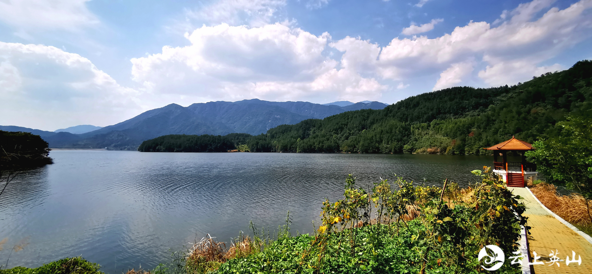 英山张家咀湿地公园正式通过国家验收_长江云 - 湖北网络广播电视台