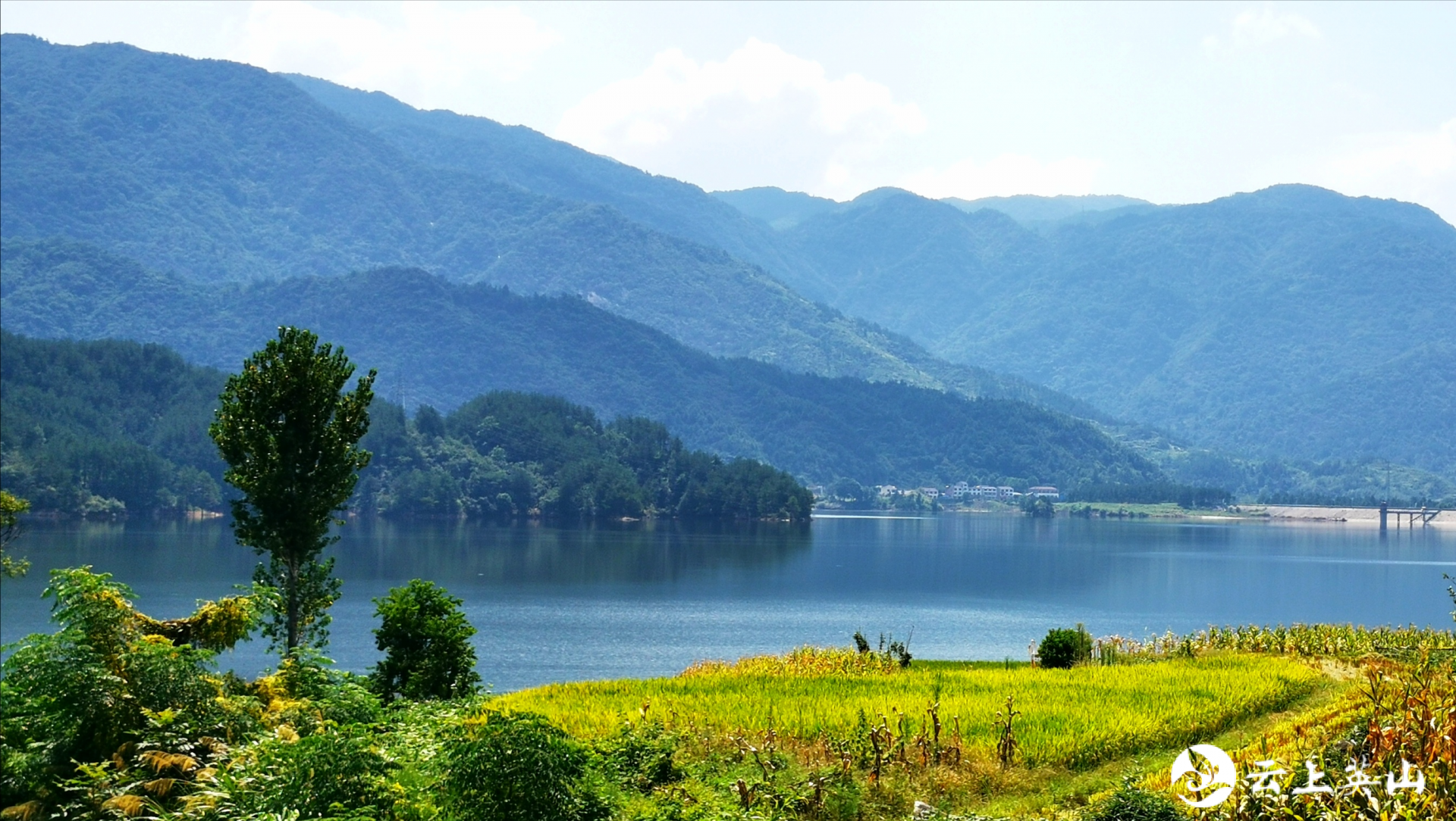 英山张家咀湿地公园正式通过国家验收