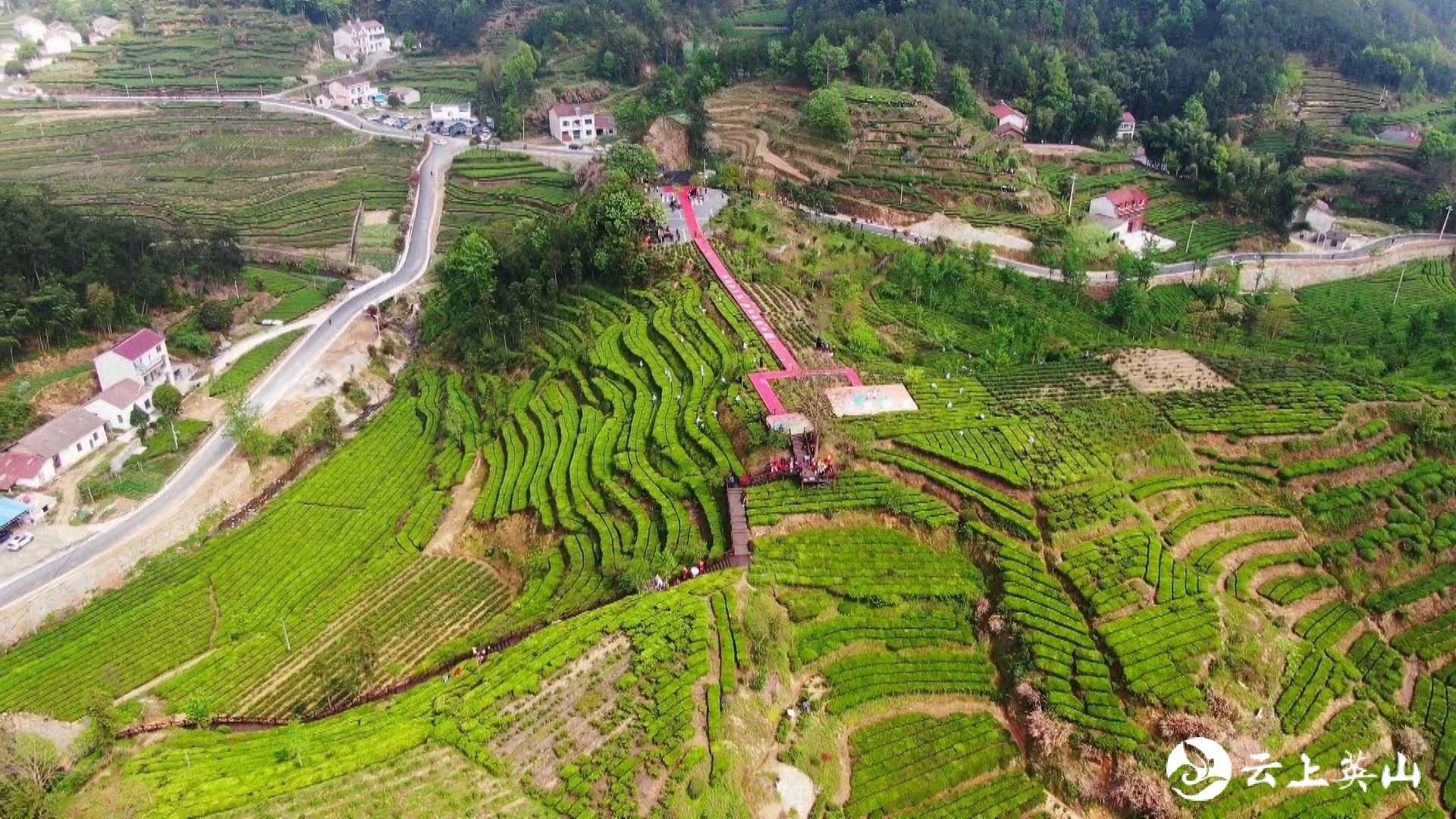 直播| 第二十九届湖北·英山"长安杯"茶文化旅游节《茶海放歌》山歌秀