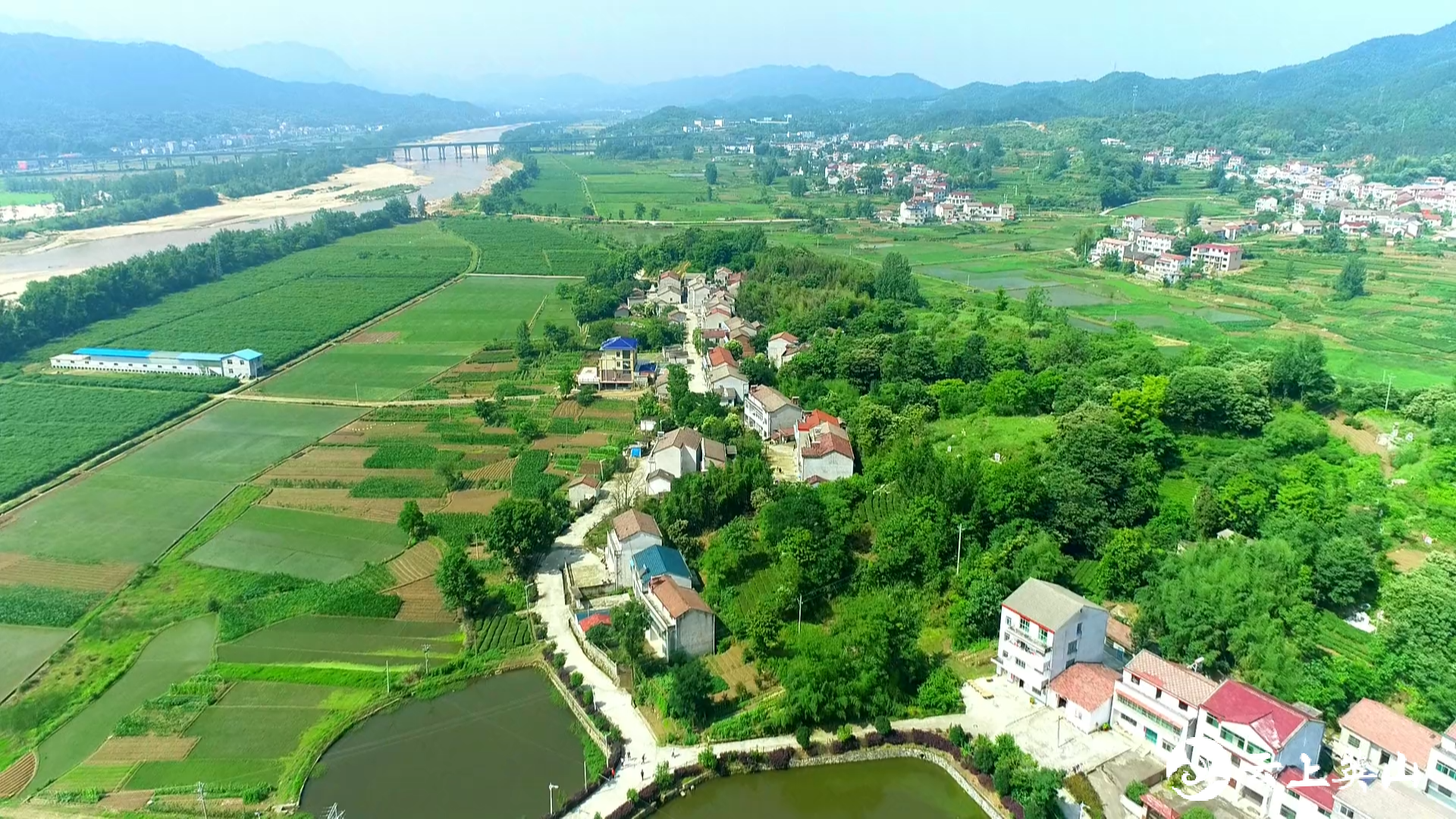 扶贫风吹杨柳绿杨柳湾镇脱贫攻坚工作纪实