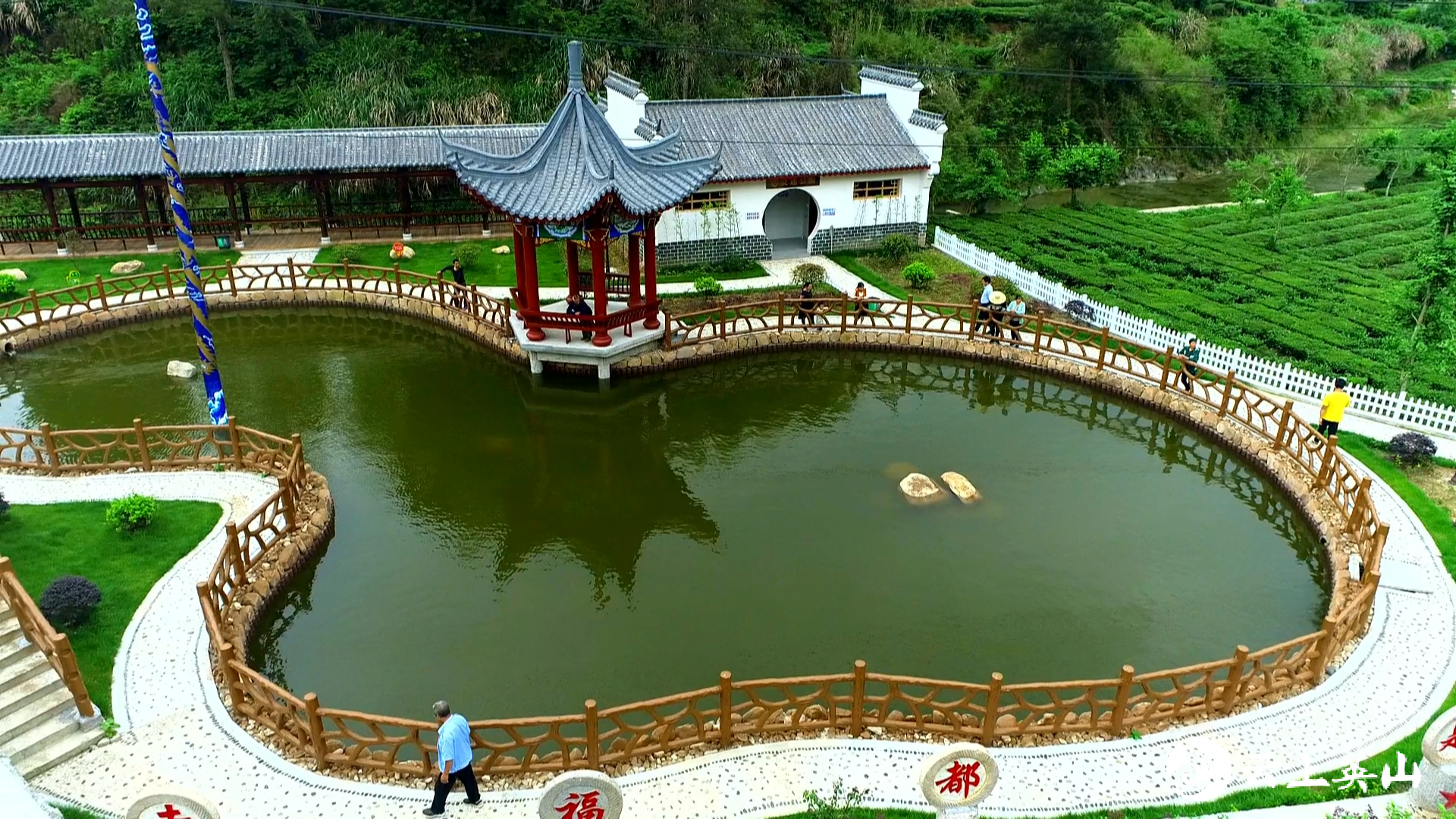 扶贫风吹杨柳绿杨柳湾镇脱贫攻坚工作纪实