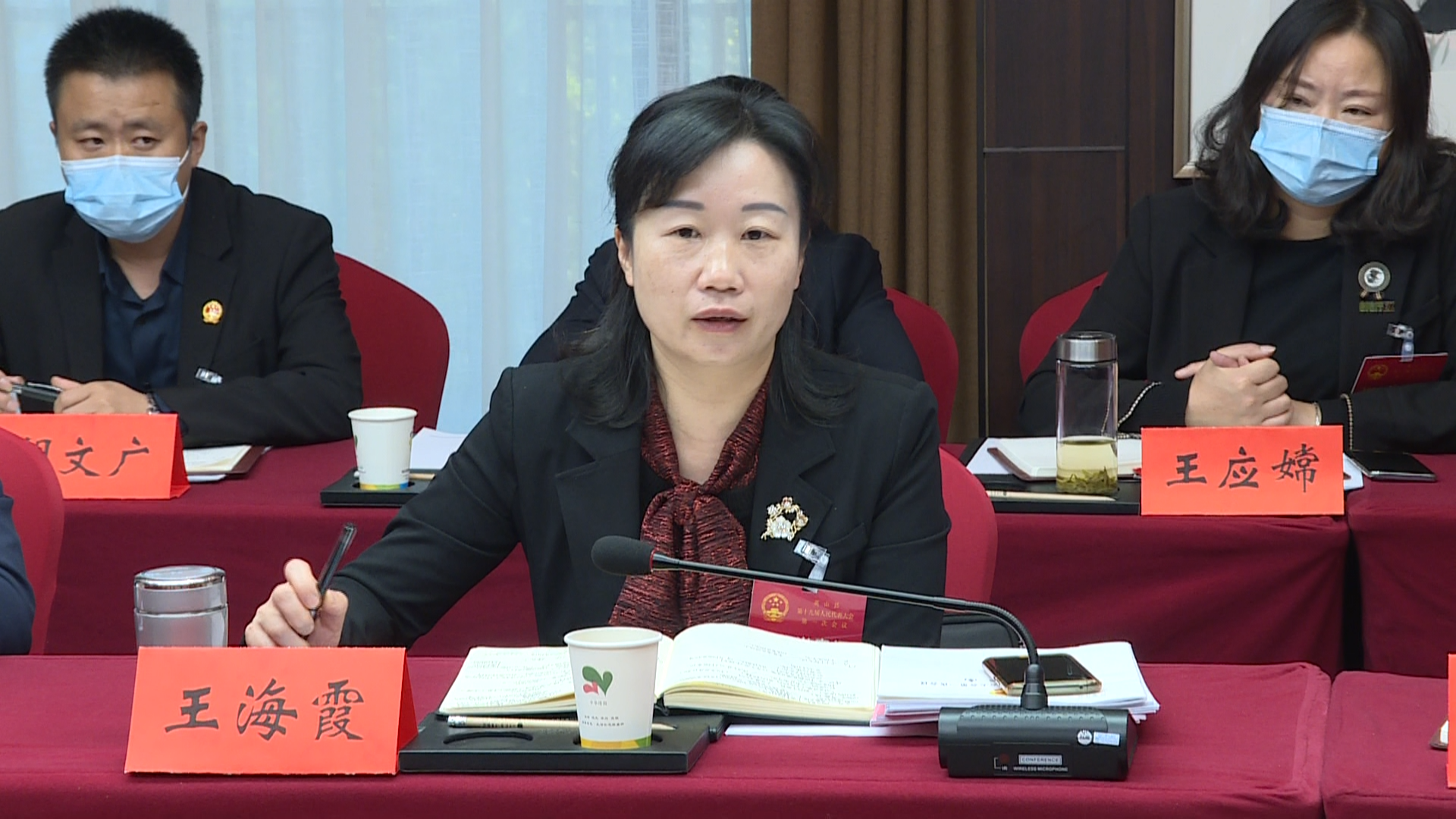 【聚焦两会】王海霞参加温泉代表团讨论 _云上英山