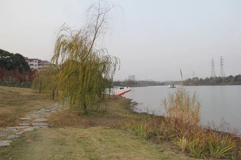 七星台镇:争当民营经济"店小二",争做沿江生态"东前哨"_云上枝江