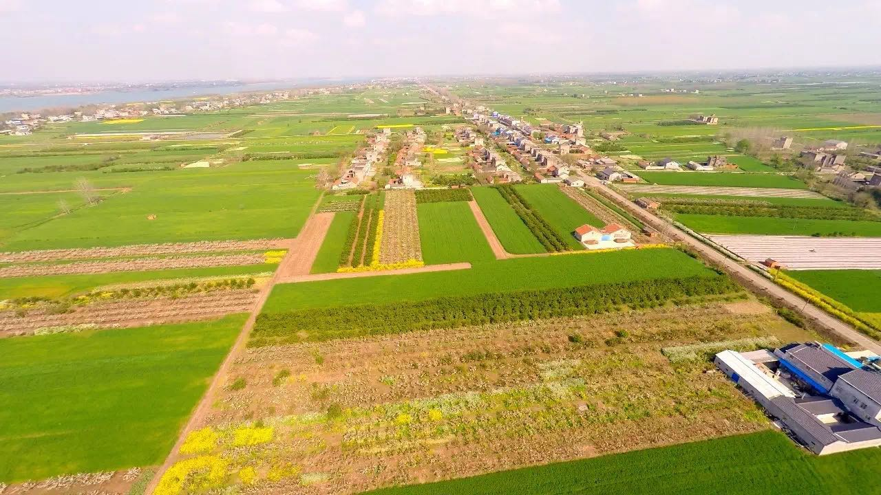 百里洲镇举行乡贤心融故土振兴家乡恳谈会 _云上枝江