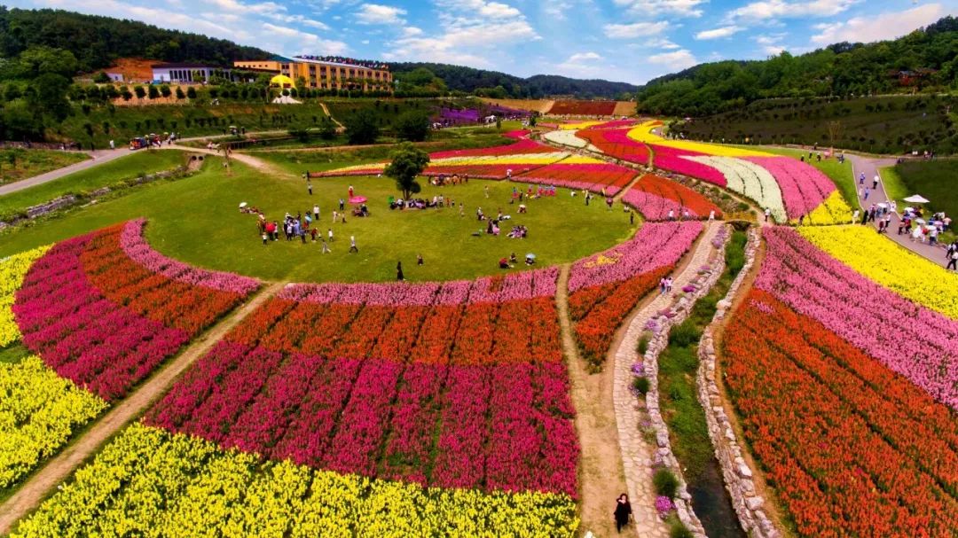 东方年华△同心花海△金湖国家湿地公园这么多美景,在田园枝江等你