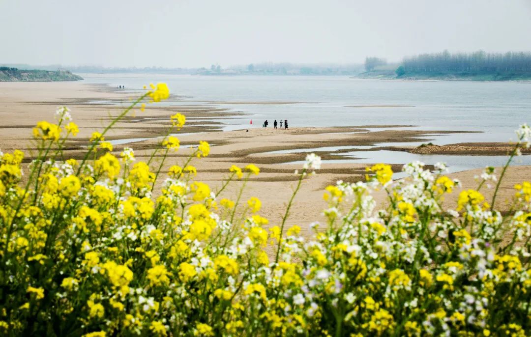 五一假期枝江这些地方必打卡