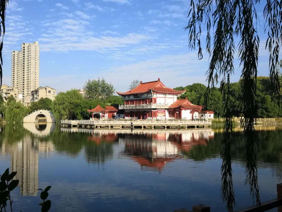 入秋后的五柳公园,还是那么美…_云上枝江
