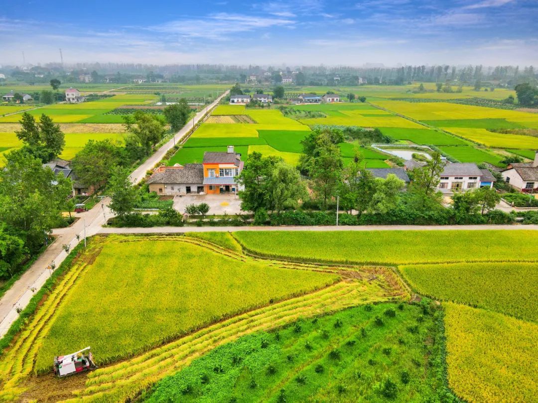 枝江"丰"景如画!