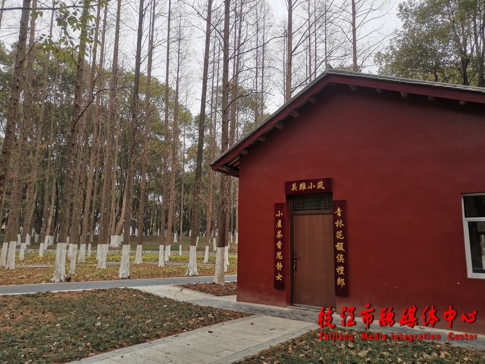 枝江五柳公园靓出新颜值