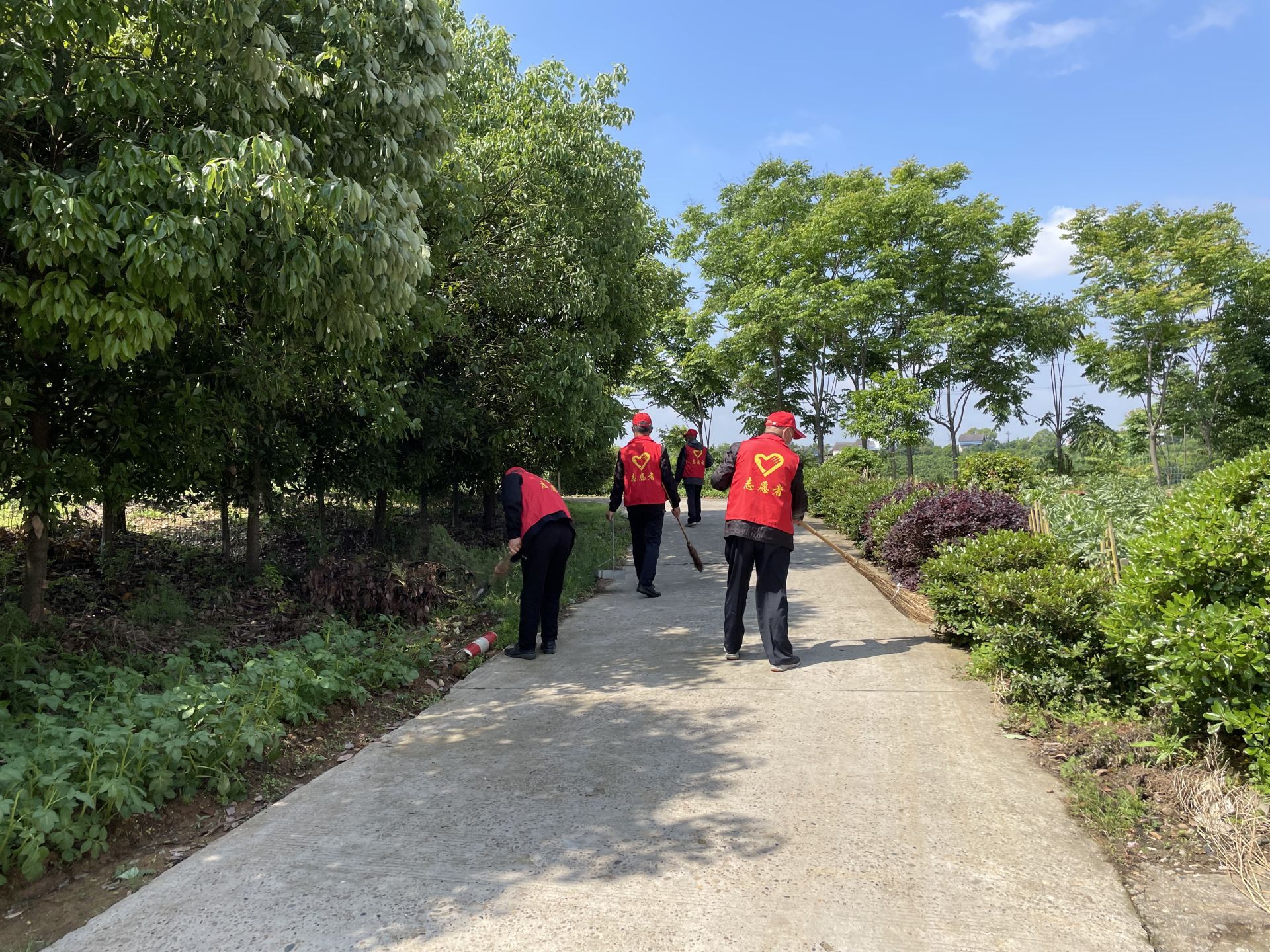 枝江安福寺镇野鸭湾村添颜值又添气质