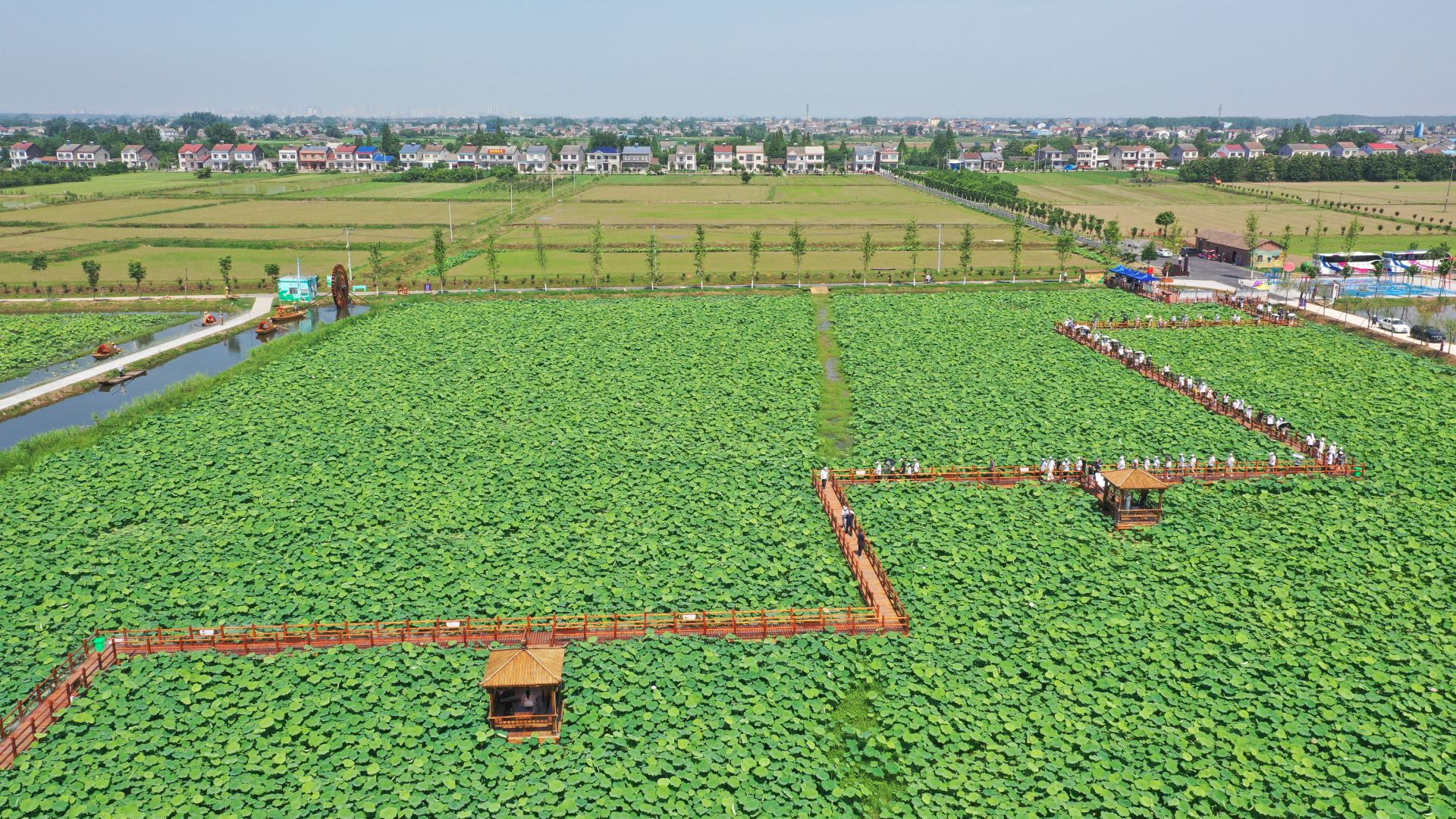 当枝松宜中青班走进松滋市八宝镇