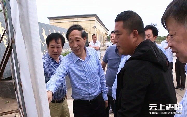 襄阳市人大常委会副主任艾文金来我市调研绿色发展工作