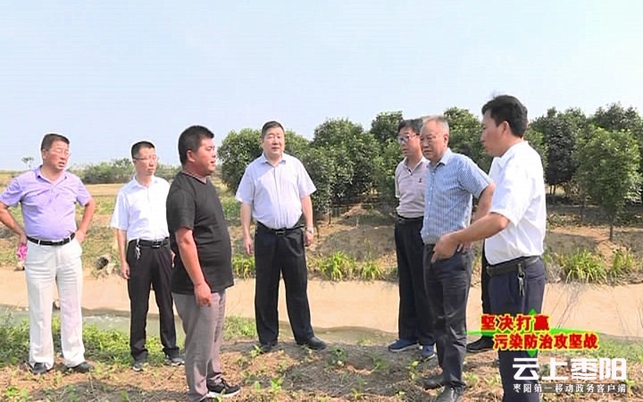 柯红勇巡查高奄河流域环境整治