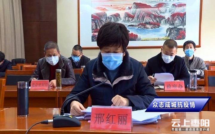 市委常委,副市长邢红丽在枣阳分会场参加会议.