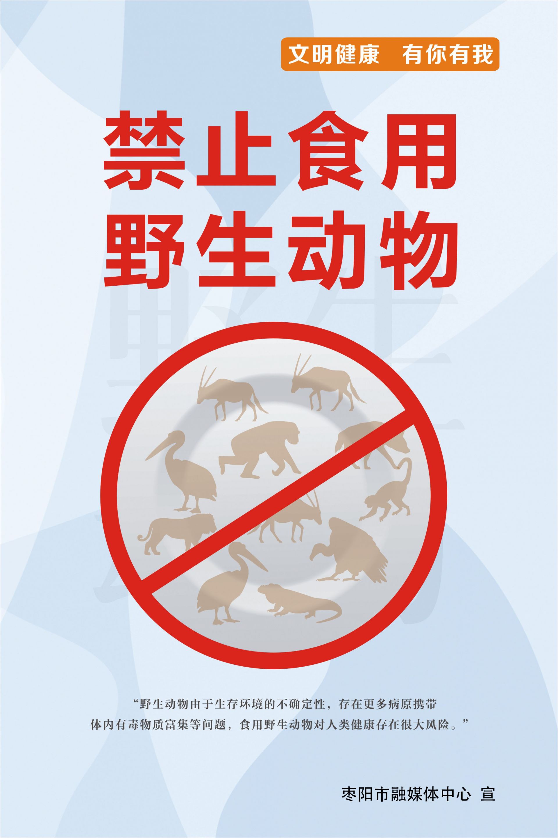 禁止捕杀野生动物标语图片