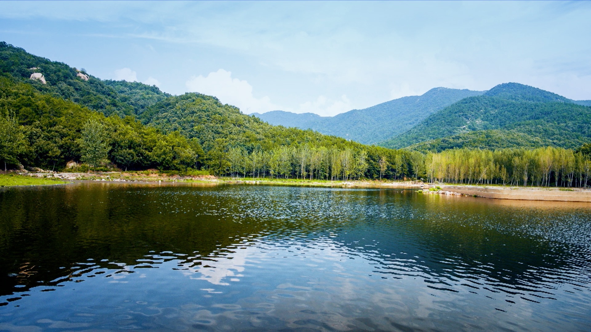 枣阳用绿色打造生态之城