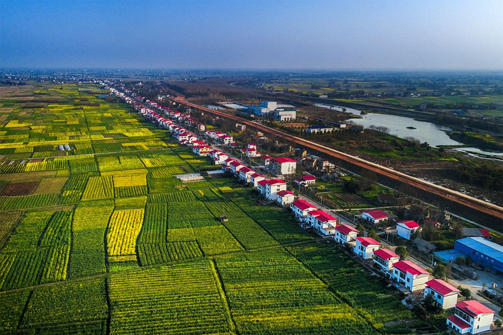 湖南南县罗文村妙趣横生的涂鸦村