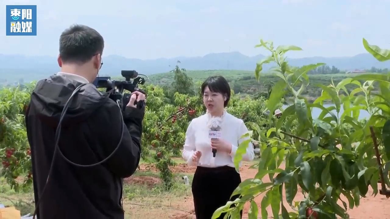 在直播过程中,中央广播电视总台湖北总站记者金珠置身平林镇宋集村