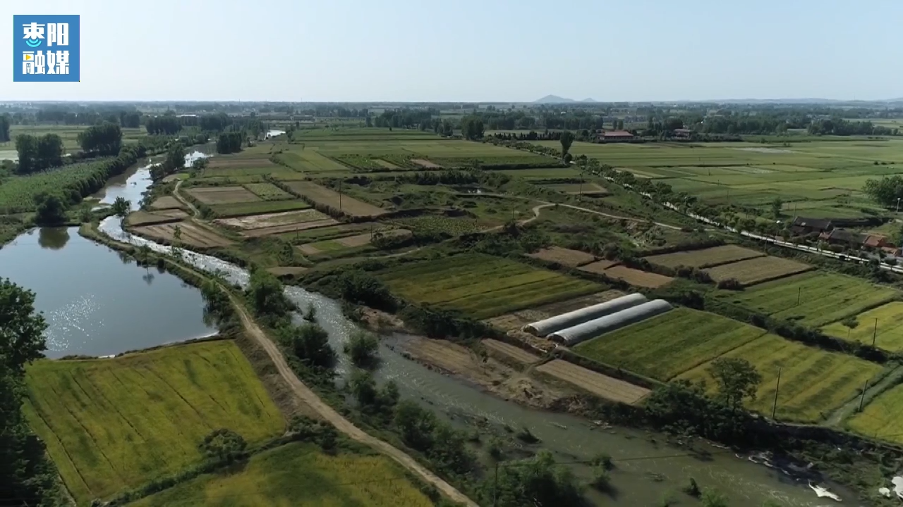 枣阳市鹿头镇小王庄村:坚持支部引领,创新发展土地股份合作社_云上