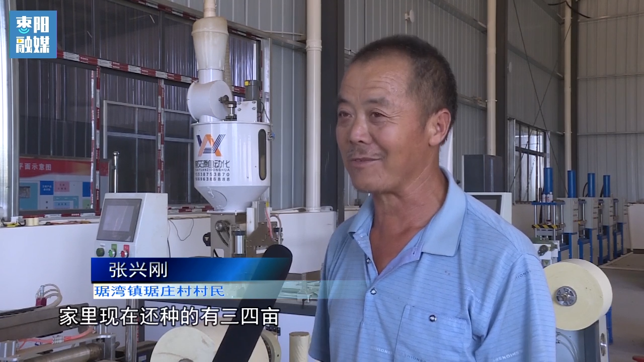 枣阳市琚湾镇琚庄村村民 张兴刚:我种艾蒿也种了十几年,家里现在还种