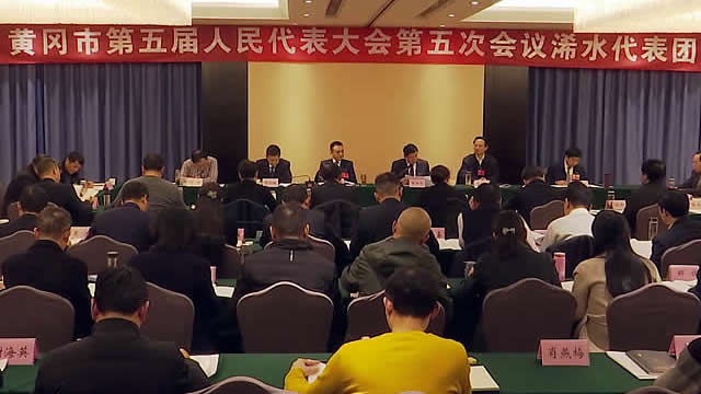 的审议,县委书记黄强胤,县委副书记,县长付宇,县人大常委会主任李葆良