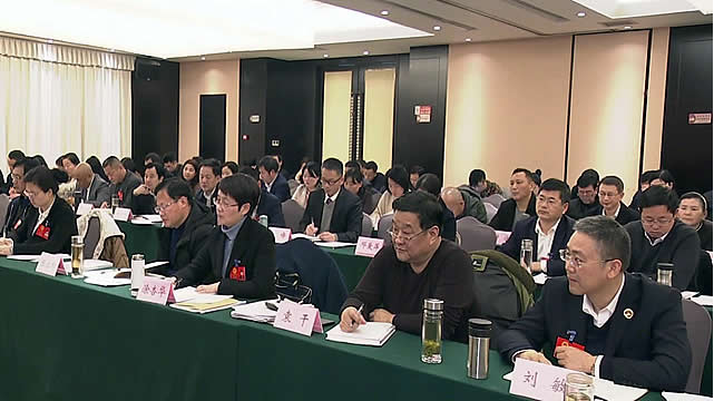 的审议,县委书记黄强胤,县委副书记,县长付宇,县人大常委会主任李葆良