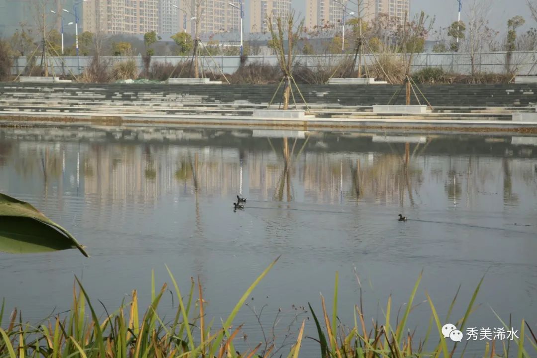 出游何必远方浠水这五个公园你中意哪一款